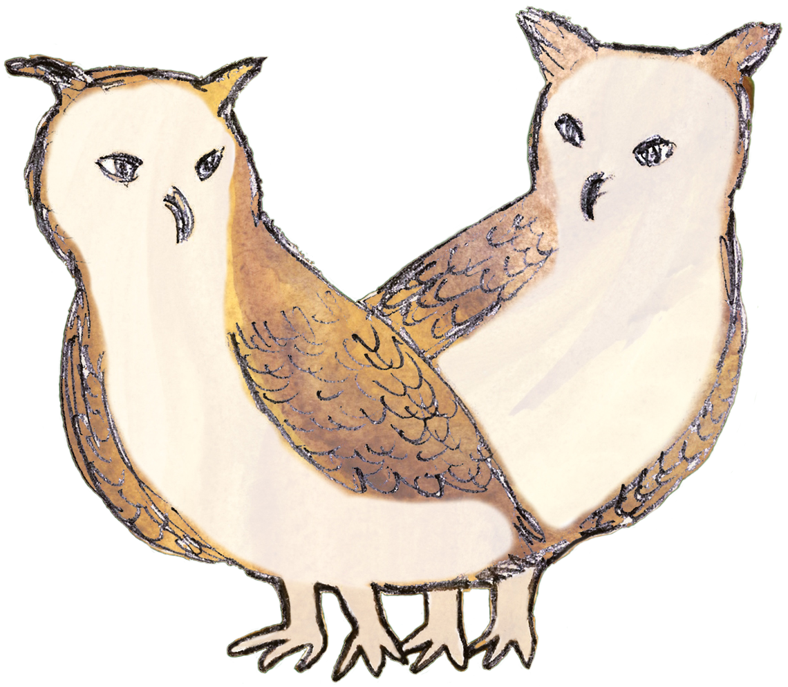 Image of two small owls leaning away from each other while looking over their shoulder at the other owl